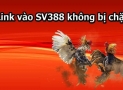 Sv388 link – Link chơi đá gà qua mạng không bị chặn