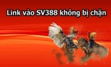Sv388 link – Link chơi đá gà qua mạng không bị chặn