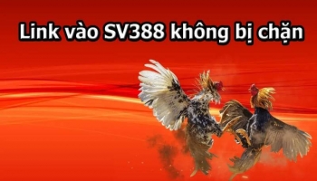 Sv388 link – Link chơi đá gà qua mạng không bị chặn