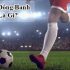Bài Blackjack là gì? – Cách chơi Blackjack đơn giản cho tân thủ