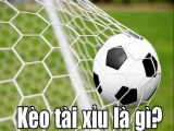Kèo tài xỉu là gì? Hướng dẫn chơi kèo tài xỉu luôn thắng